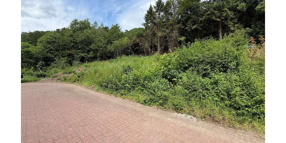 Grundstück Extertal-Nalhof Nalhof - 36.000&euro; | Angebot:25463214