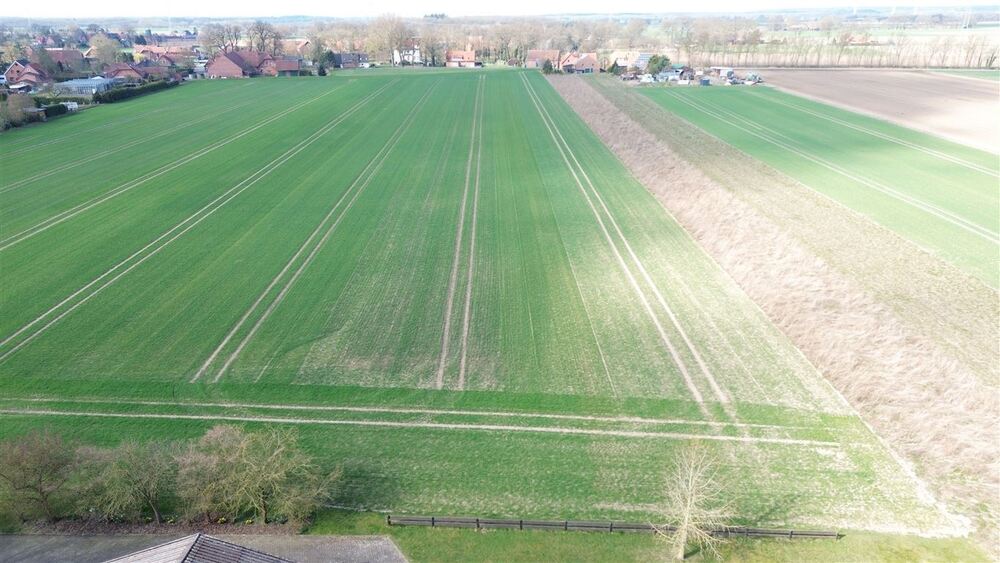 Gaststätte mit Geschichte, Traditionsreiches Objekt mit vielfältigen Zukunftsperspektiven - Gewerbeobjekt Stolzenau | Angebot:26104789