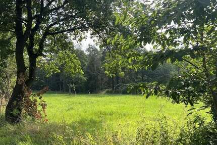 Grundstück Rehburg-Loccum Loccum - 140.000&euro; | Angebot:16804500