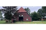 Historischer Niedersachsen- Bauernhof in Fachwerk mit Pferdeboxen u. tollen Eichenbaumbestand - Gewerbeobjekt Diepenau | Angebot:26216376