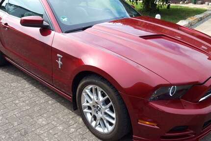 Ford Mustang 96.719 km 17.600 &euro; Minden, Stadt 32429