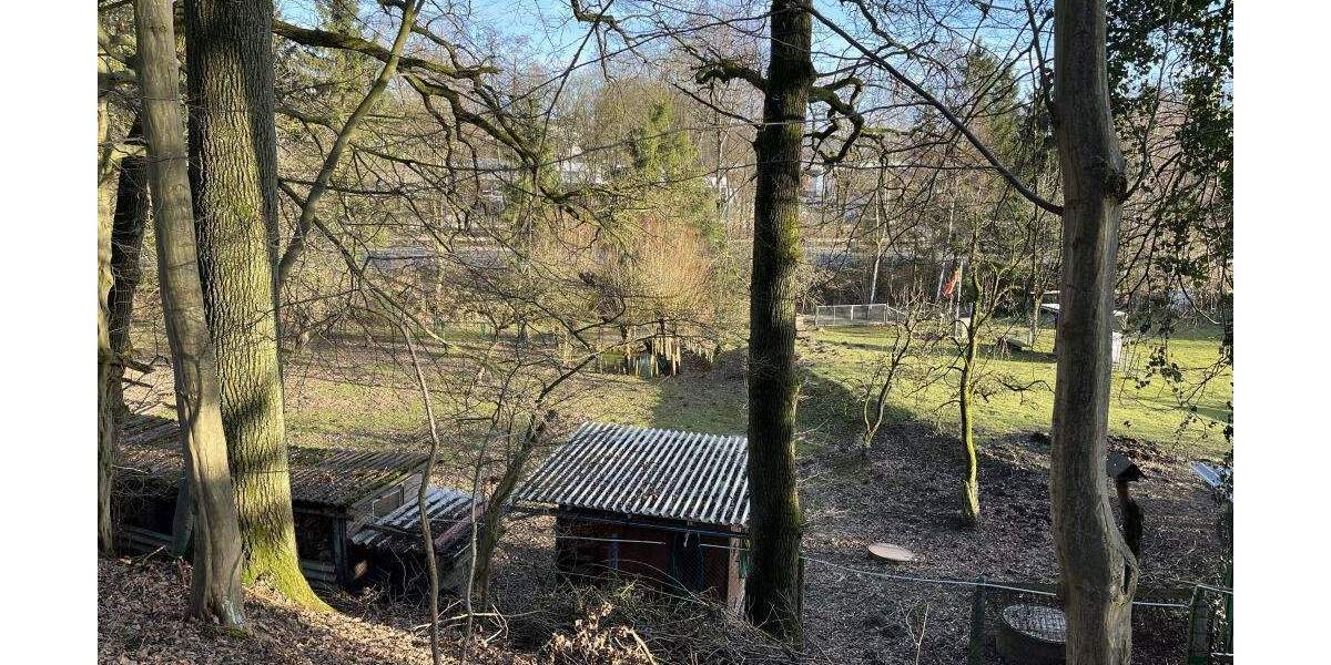 Grundstück Extertal-Bösingfeld Bösingfeld - 51.000&euro; | Angebot:25729448