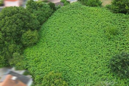 Grundstück Rinteln Schaumburg - 136.000&euro; | Angebot:25685693