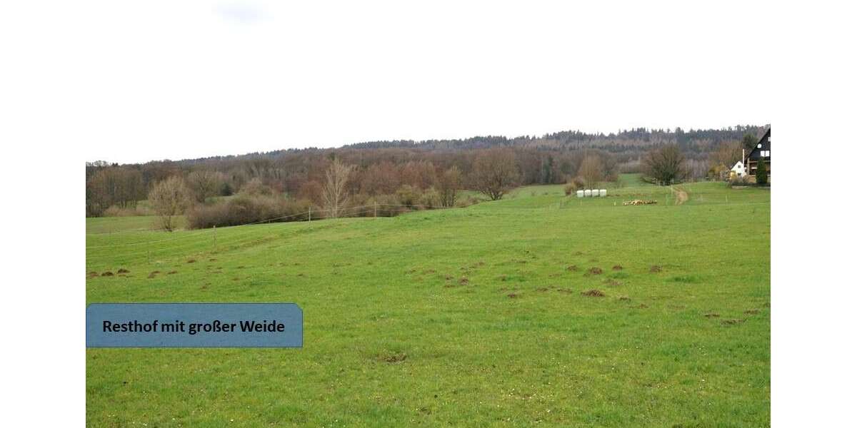 Einfamilienhaus Auetal - 9 Zimmer, 350 m&sup2;, 465.000&euro; | Angebot:25774985