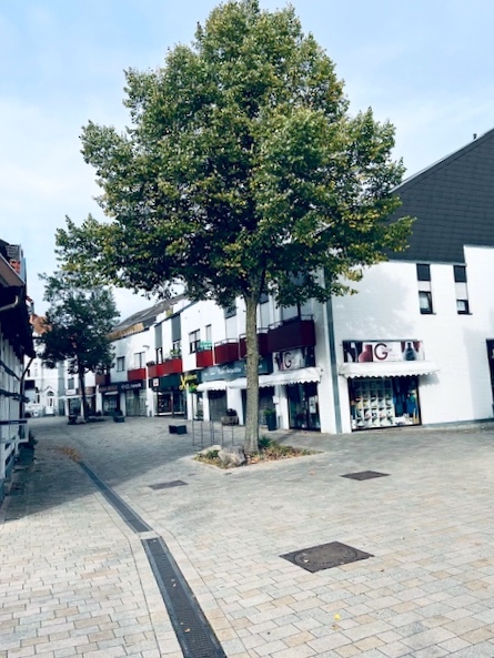 Attraktives Ladenlokal in zentraler Lage von Bad Salzuflen - Gewerbeobjekt Bad Salzuflen | Angebot:26261675