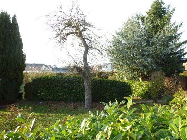 Mehrfamilienhaus, Wohnhaus Enger Westerenger - 7 Zimmer, 180 m&sup2;, 240.000&euro; | Angebot:25695514