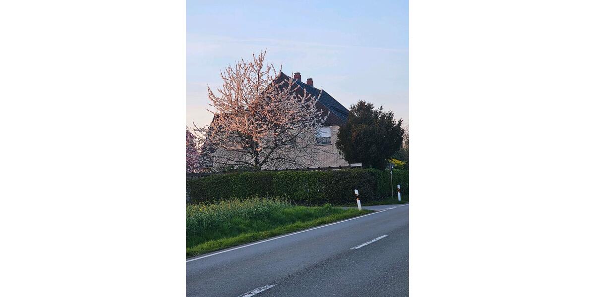 Mehrfamilienhaus, Wohnhaus Enger - 330.000&euro; | Angebot:26762848