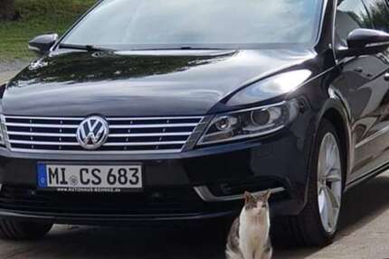 VW CC 197.000 km 9.800 &euro; Holzhausen (Porta Westfalica) 32457