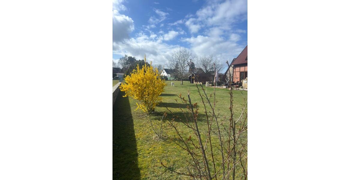 Einfamilienhaus Rehburg-Loccum Loccum - 8 Zimmer, 237 m&sup2;, 400.000&euro; | Angebot:26040511