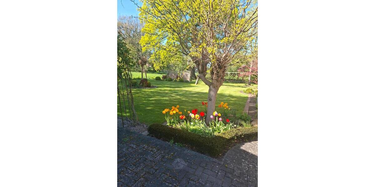 Doppelhaushälfte Bad Oeynhausen Dehme - 4 Zimmer, 270 m&sup2;, 445.000&euro; | Angebot:26285692