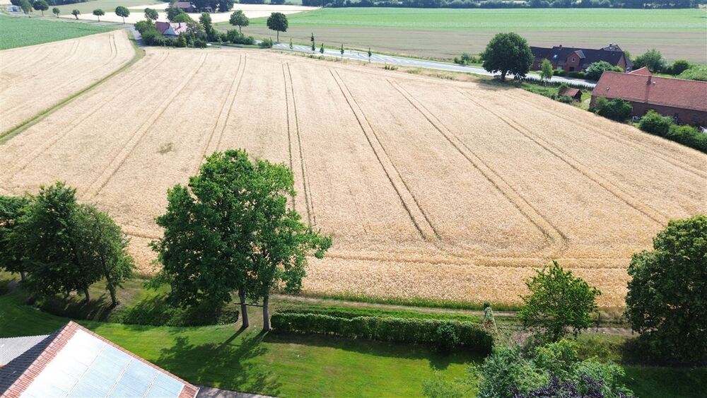 Charmanter Resthof mit Nebengebäuden und viel Platz für Tierhaltung - Gewerbeobjekt Stolzenau | Angebot:26216291