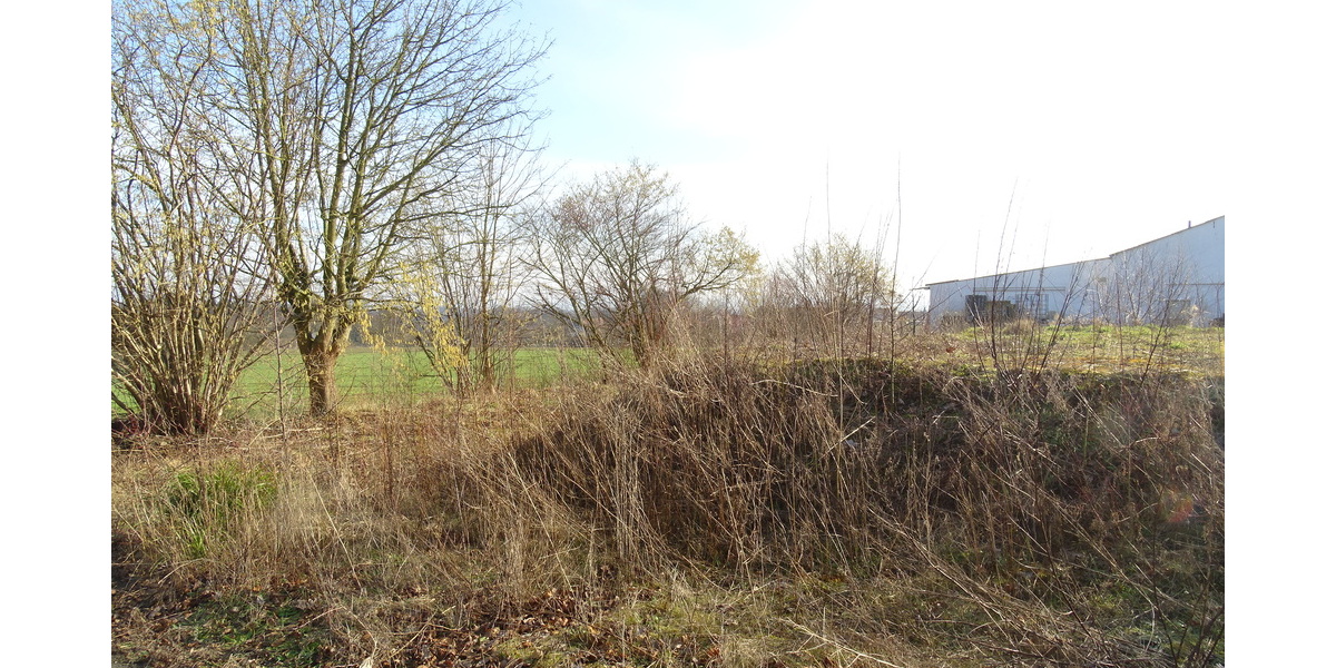 Sackgassenlage! Baugrundstück mit Blick auf das Wiehengebirge in Bad Oeynhausen-Wulferdingsen - Grundstück Bad Oeynhausen Wulferdingsen | Angebot:25645629