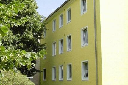 Wohnung Minden Bärenkämpen - 1 Zimmer, 27 m&sup2;, 425&euro; | Angebot:26015240