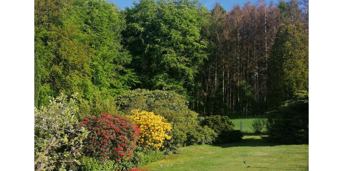 Einfamilienhaus Hüllhorst - 195.000&euro; | Angebot:26515844
