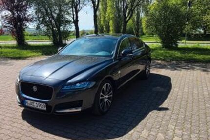 Jaguar XF 95.000 km 19.900 &euro; Rinteln 31737