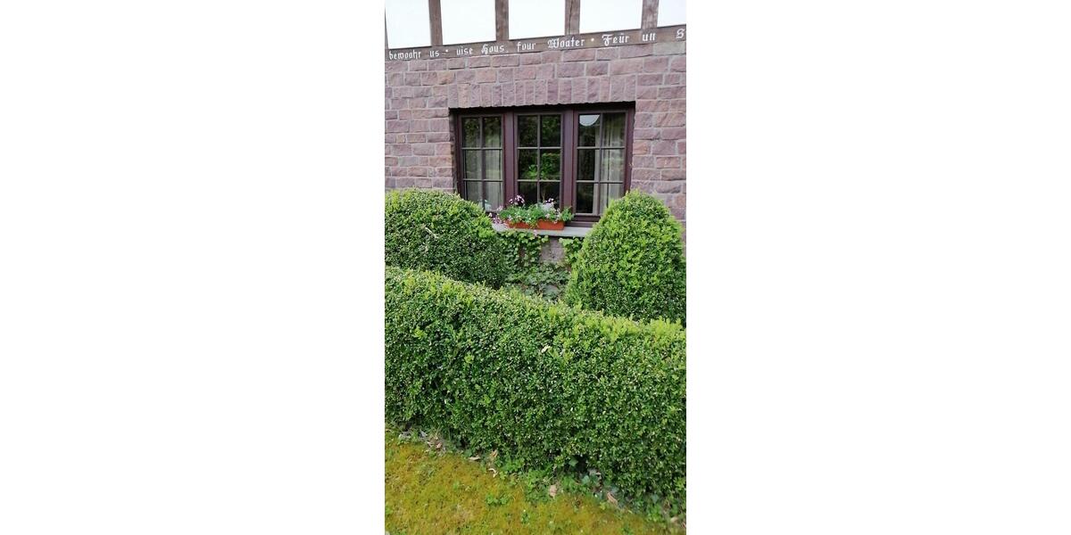 Mehrfamilienhaus, Wohnhaus Preußisch Oldendorf - 559.000&euro; | Angebot:26828697