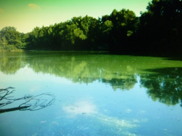 Seeanwesen in NRW - Grundstück Porta Westfalica | Angebot:19799677