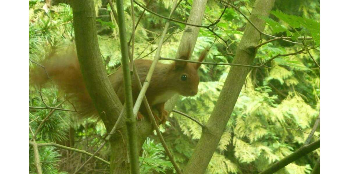 Einfamilienhaus Extertal-Bremke Bremke - 4.5 Zimmer, 165 m&sup2;, 399.000&euro; | Angebot:18163435