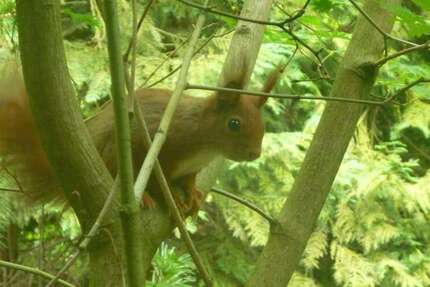 Haus Extertal-Bremke Bremke - 4.5 Zimmer, 165 m&sup2;, 399.000&euro; | Angebot:18163435