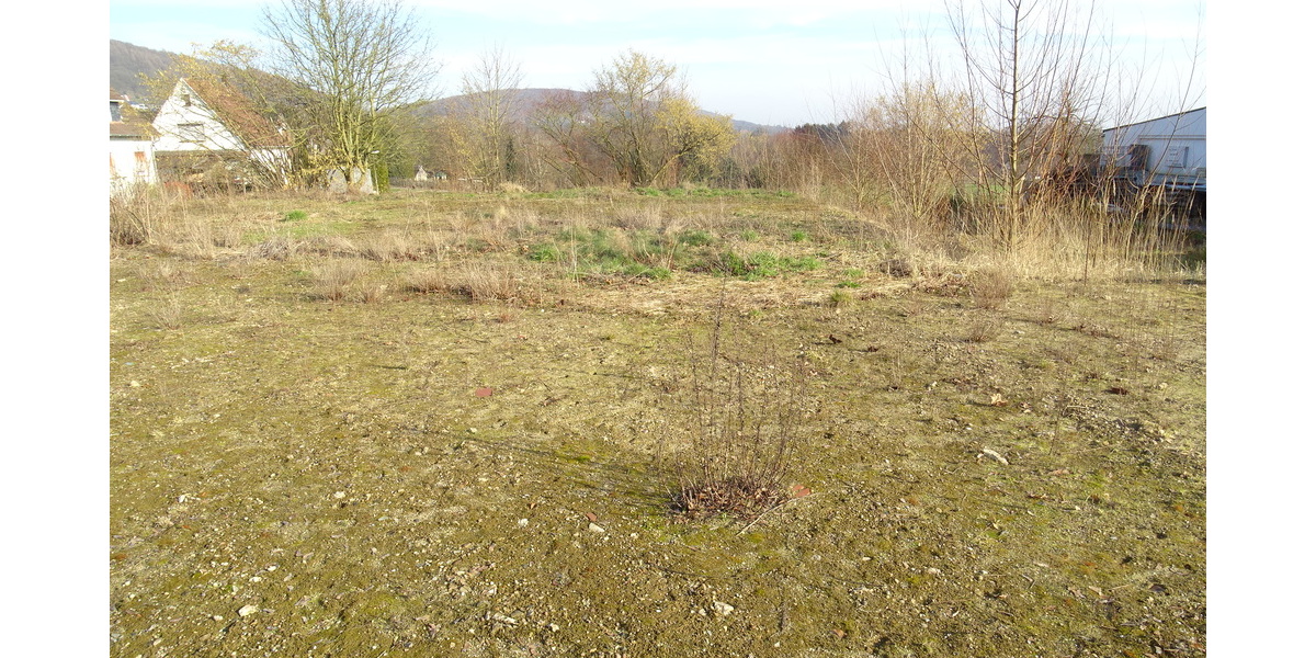 Sackgassenlage! Baugrundstück in Bad Oeynhausen-Wulferdingsen - Grundstück Bad Oeynhausen Wulferdingsen | Angebot:25645533