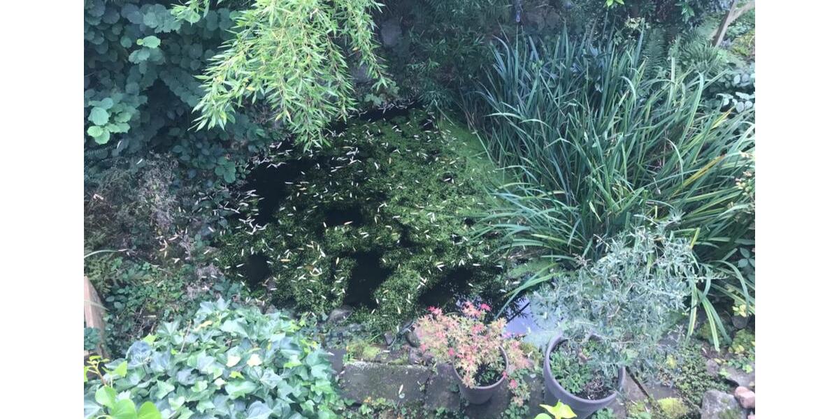 Mehrfamilienhaus, Wohnhaus Enger - 12 Zimmer, 270 m&sup2;, 398.000&euro; | Angebot:26040800