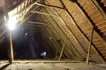 Historischer Niedersachsen- Bauernhof in Fachwerk mit Pferdeboxen u. tollen Eichenbaumbestand - Gewerbeobjekt Diepenau | Angebot:26858246