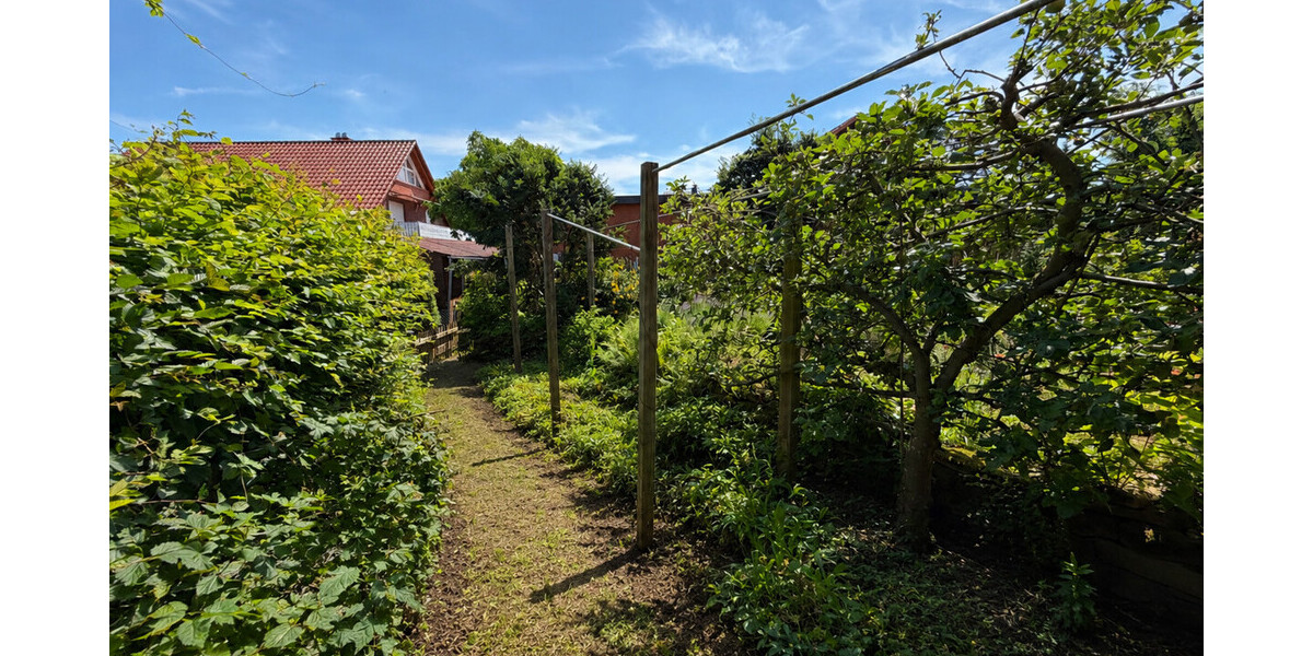 Ökologisches Architektenhaus mit Charakter – Wohnen im Einklang mit der Natur - Einfamilienhaus Rehburg-Loccum Loccum | Angebot:27003371