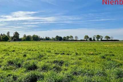Grundstück Wiedensahl - 110.156&euro; | Angebot:22248441