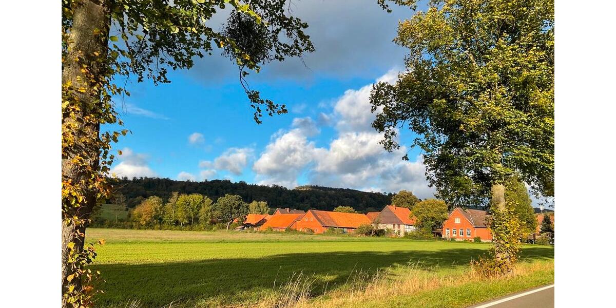 Einfamilienhaus Hessisch Oldendorf - 169.000&euro; | Angebot:13056513