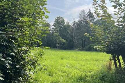 Grundstück Rehburg-Loccum Loccum - 140.000&euro; | Angebot:16804500
