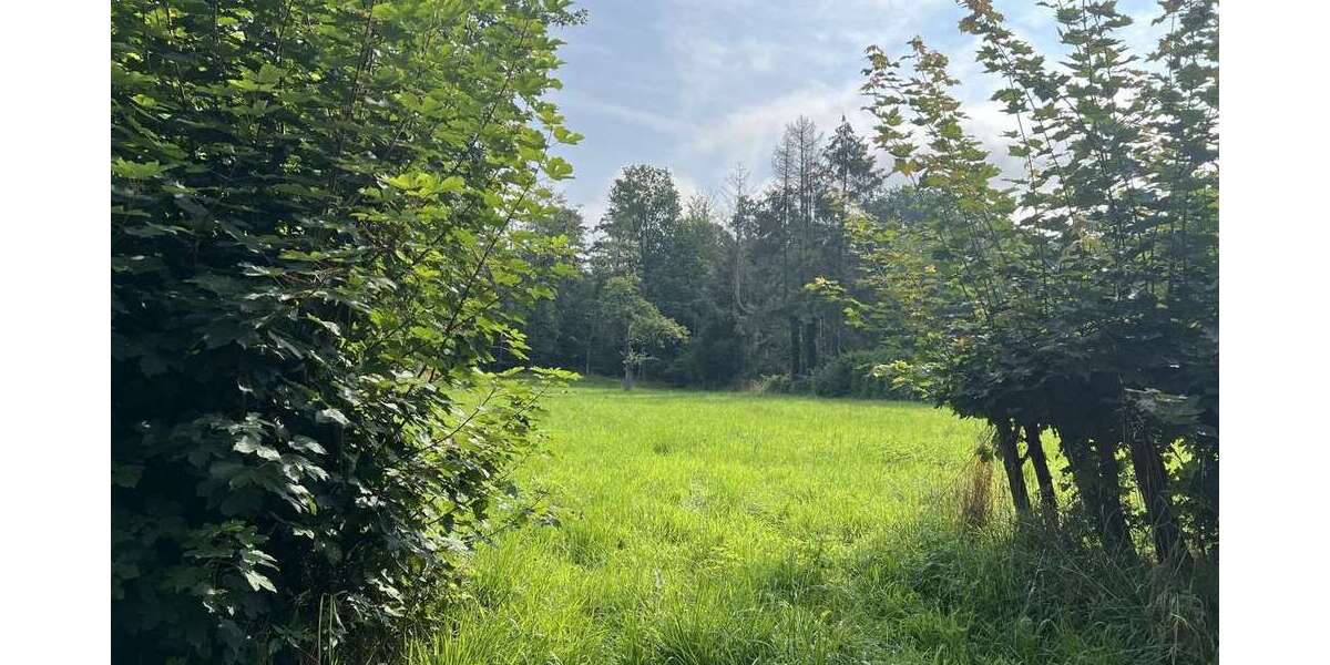 Grundstück Rehburg-Loccum Loccum - 140.000&euro; | Angebot:16804500