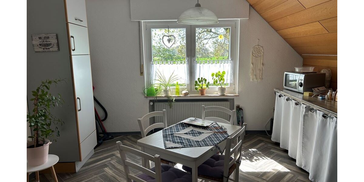 Interessantes Wohnhaus mit 2 Wohnungen, Nebengebäude und Grünland - Einfamilienhaus Stolzenau | Angebot:26858258