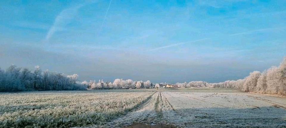 Mehrfamilienhaus, Wohnhaus Bünde - 360.000&euro; | Angebot:26803545