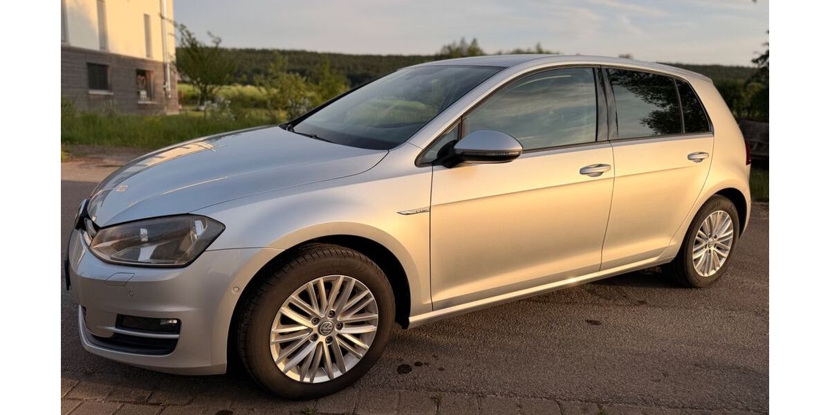 VW Golf 83.000 km 9.990 &euro; Hespe 31693