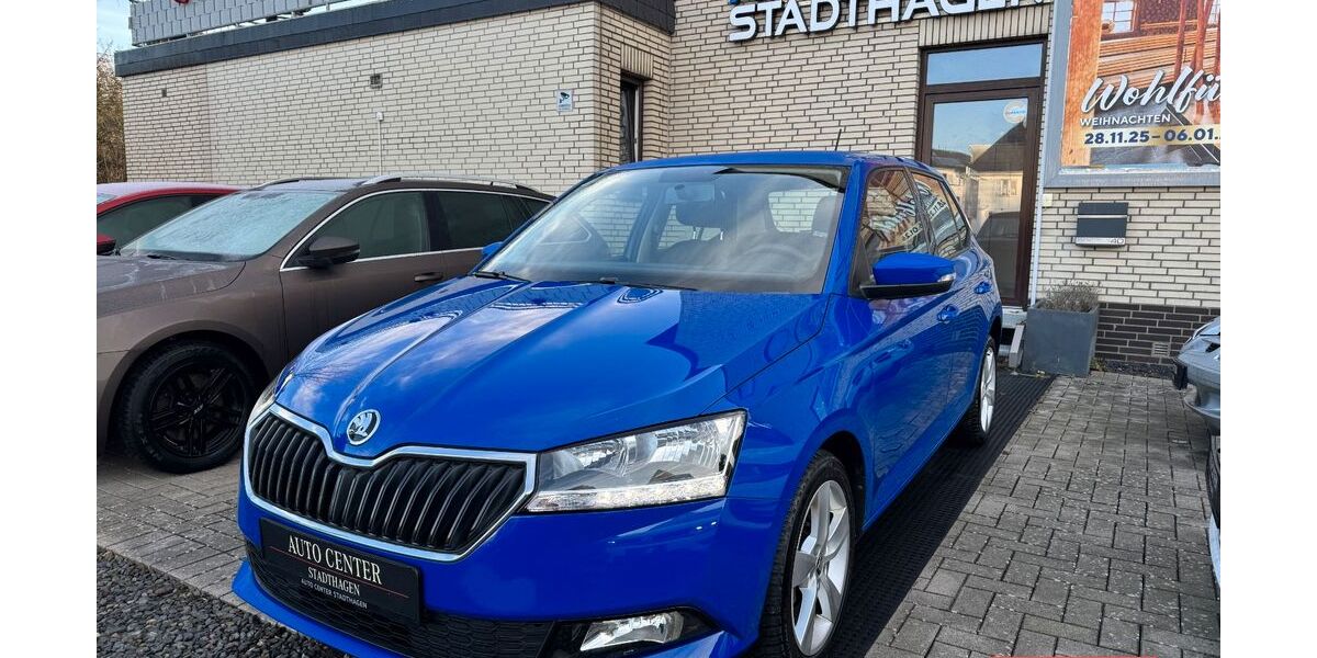 Skoda Fabia 83.000 km 9.690 &euro; Stadthagen 31655