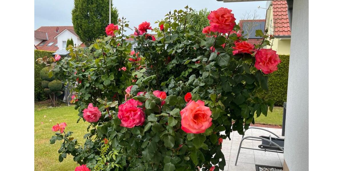 Einfamilienhaus Minden Kuhlenkamp - 5 Zimmer, 170 m&sup2;, 1.700&euro; | Angebot:25967737