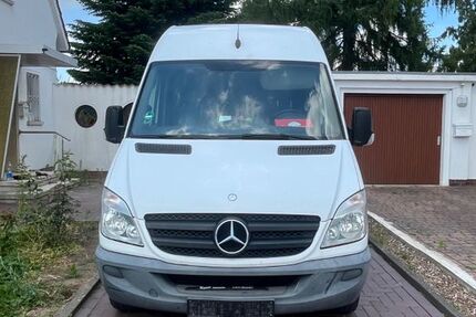Mercedes-Benz Sprinter 229.244 km 8.000 &euro; Minden 32423