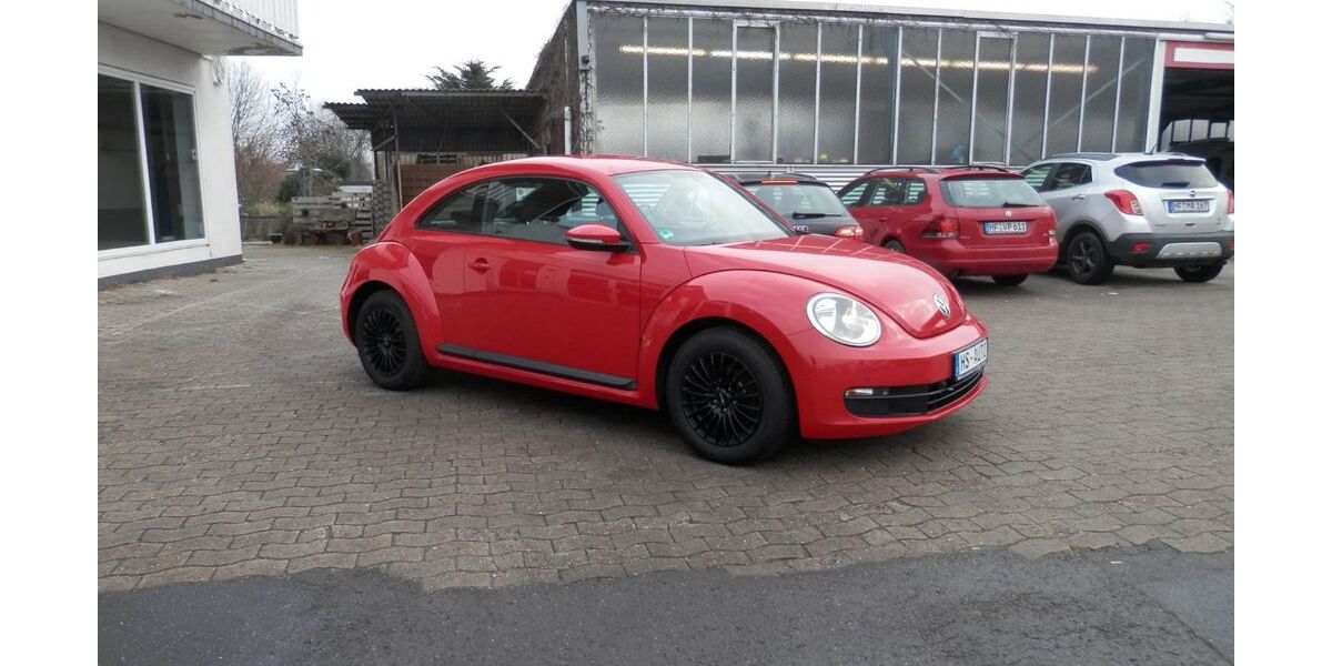 VW Beetle 102.404 km 8.490 &euro; Bünde 32257