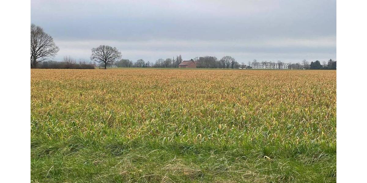 Bauernhaus, Landhaus Niedernwöhren - 1 Zimmer, 375 m&sup2;, 270.000&euro; | Angebot:25731745