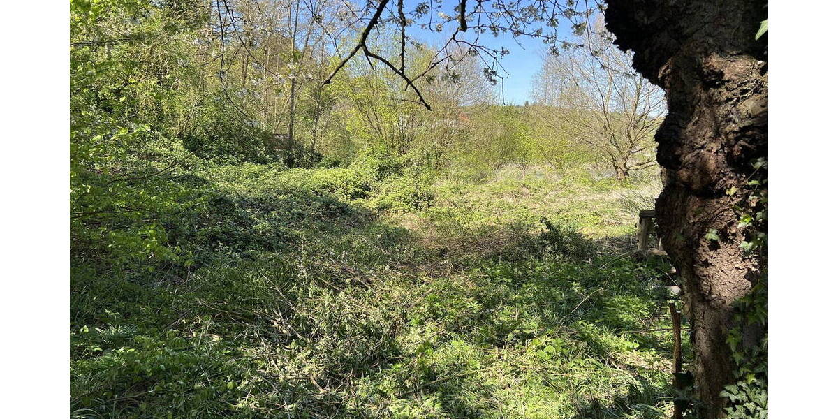 Einfamilienhaus Preußisch Oldendorf Börninghausen - 6 Zimmer, 150 m&sup2;, 108.000&euro; | Angebot:26290172