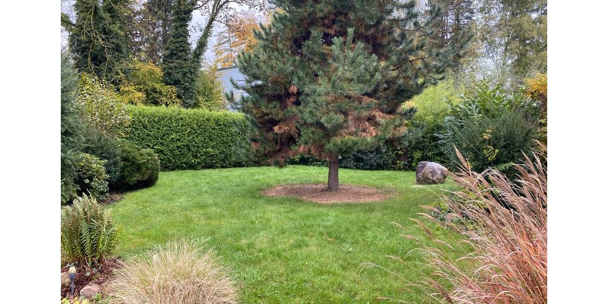 Mehrfamilienhaus, Wohnhaus Hessisch Oldendorf - 15 Zimmer, 239 m&sup2;, 299.000&euro; | Angebot:25319276