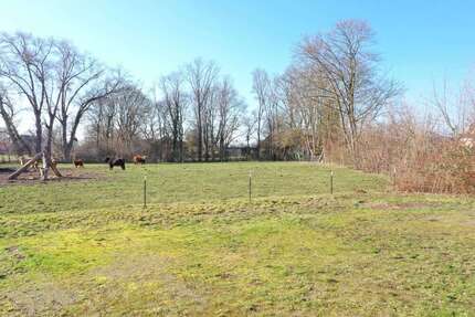 Grundstück Bückeburg - 67.000&euro; | Angebot:25475811