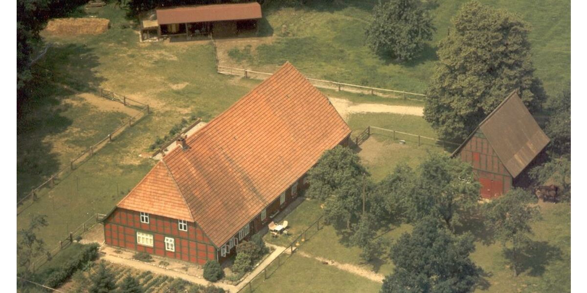 Historischer Niedersachsen- Bauernhof in Fachwerk mit Pferdeboxen u. tollen Eichenbaumbestand - Gewerbeobjekt Diepenau | Angebot:26216376