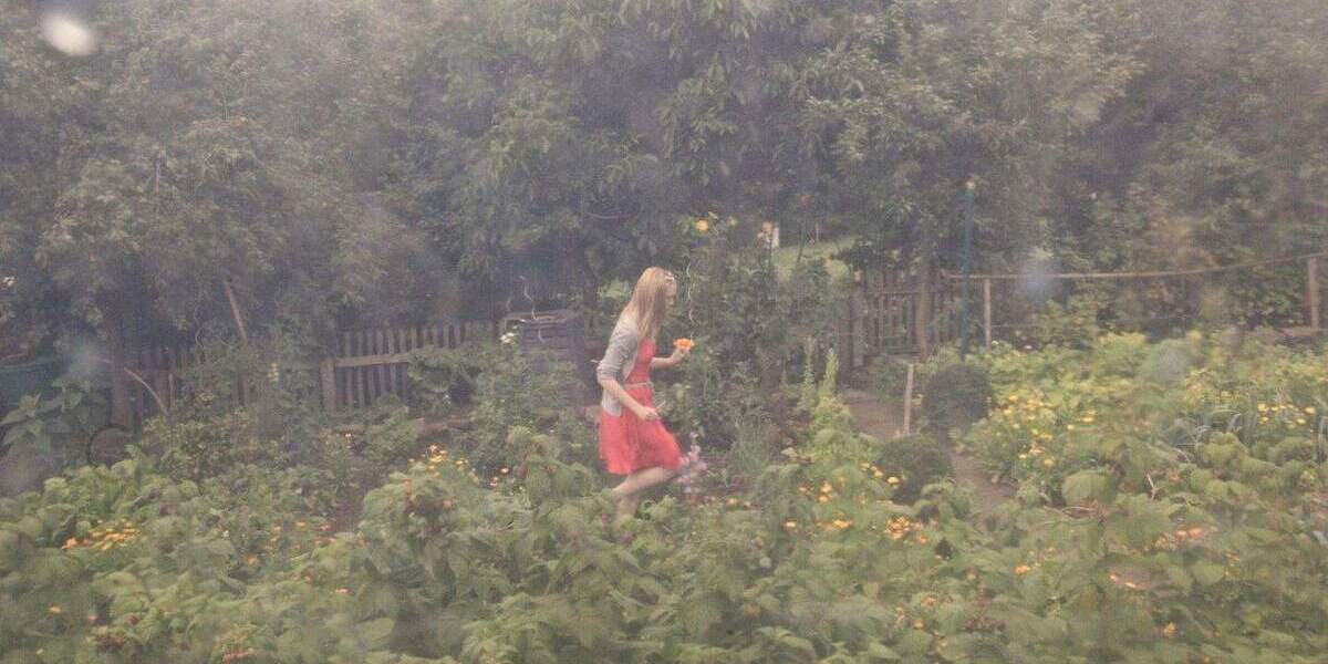 Einfamilienhaus Almena / Extertal Almena - 2 Zimmer, 100 m&sup2;, 219.000&euro; | Angebot:25724251