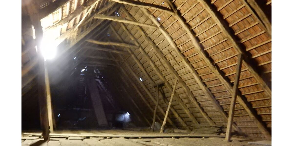 Historischer Niedersachsen- Bauernhof in Fachwerk mit Pferdeboxen u. tollen Eichenbaumbestand - Gewerbeobjekt Diepenau | Angebot:26216376