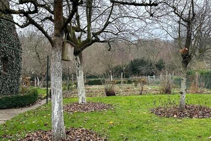 Haus Extertal - 2 Zimmer, 100 m&sup2;, 219.000&euro; | Angebot:24308242