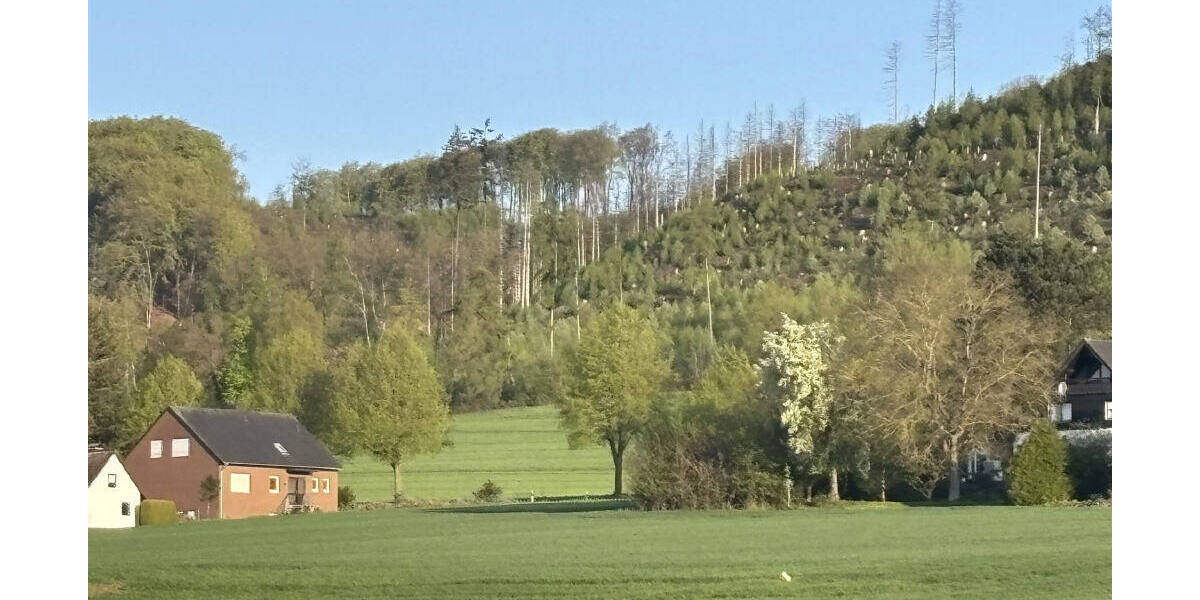 Einfamilienhaus Hüllhorst Oberbauerschaft - 7 Zimmer, 185 m&sup2;, 265.000&euro; | Angebot:26291661