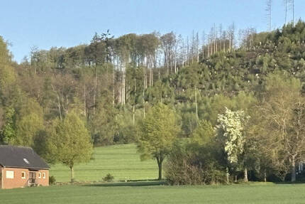 Haus Hüllhorst Oberbauerschaft - 7 Zimmer, 185 m&sup2;, 265.000&euro; | Angebot:26291661