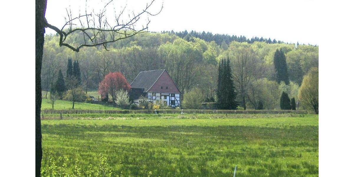 Einfamilienhaus Extertal - 10 Zimmer, 242 m&sup2;, 219.000&euro; | Angebot:26296392