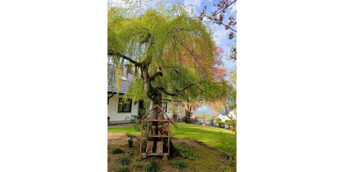 Einfamilienhaus Obernkirchen - 475.000&euro; | Angebot:26745363